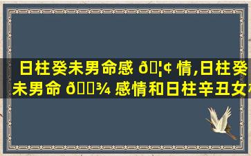 日柱癸未男命感 🦢 情,日柱癸未男命 🌾 感情和日柱辛丑女相配吗